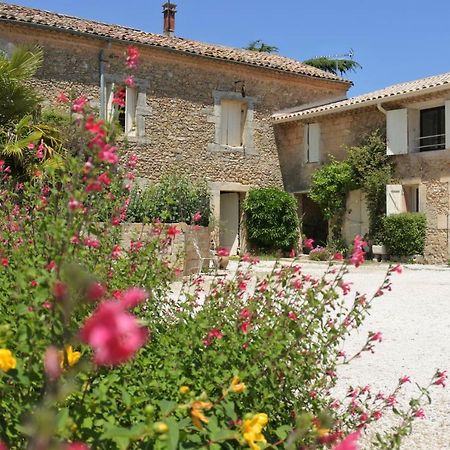 Gite Du Domaine Saint Jean De L'Arbousier Castries Εξωτερικό φωτογραφία