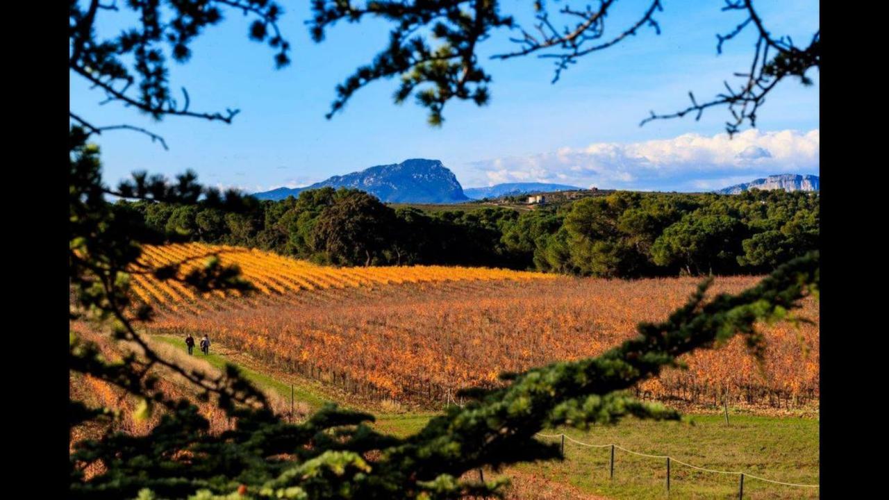 Gite Du Domaine Saint Jean De L'Arbousier Castries Εξωτερικό φωτογραφία